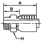 Male SAE Straight Thread w/O-ring, 1/2 x 1/2