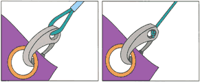 Sea-Dog, Bungee, Shock Cord Clips, Nylon