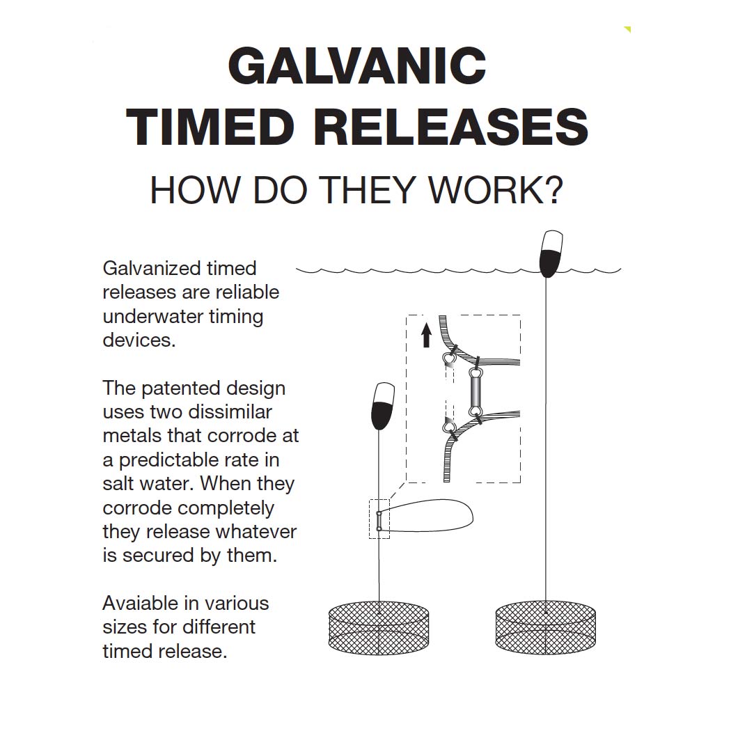 Galvanic Time Release Neptune