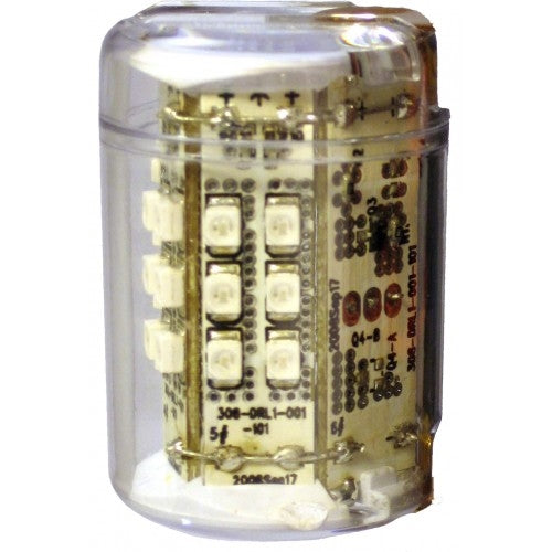 Polar Star 25  Festoon Bulb, Bi-Color