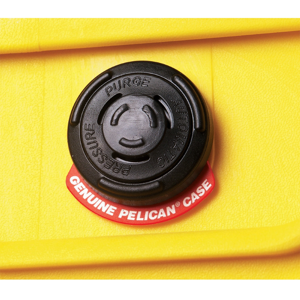 Pelican 1170 Small Protector Case