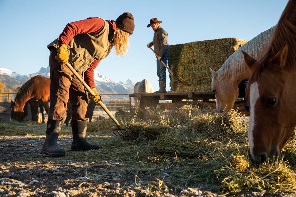 Open Box -Muck Boot Women's Chore Mid Boot