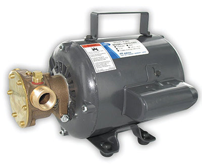 Replacement Pump Head and Parts for  11810 series pump, 11818-0003