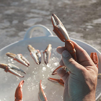 Crab Claw Cutter