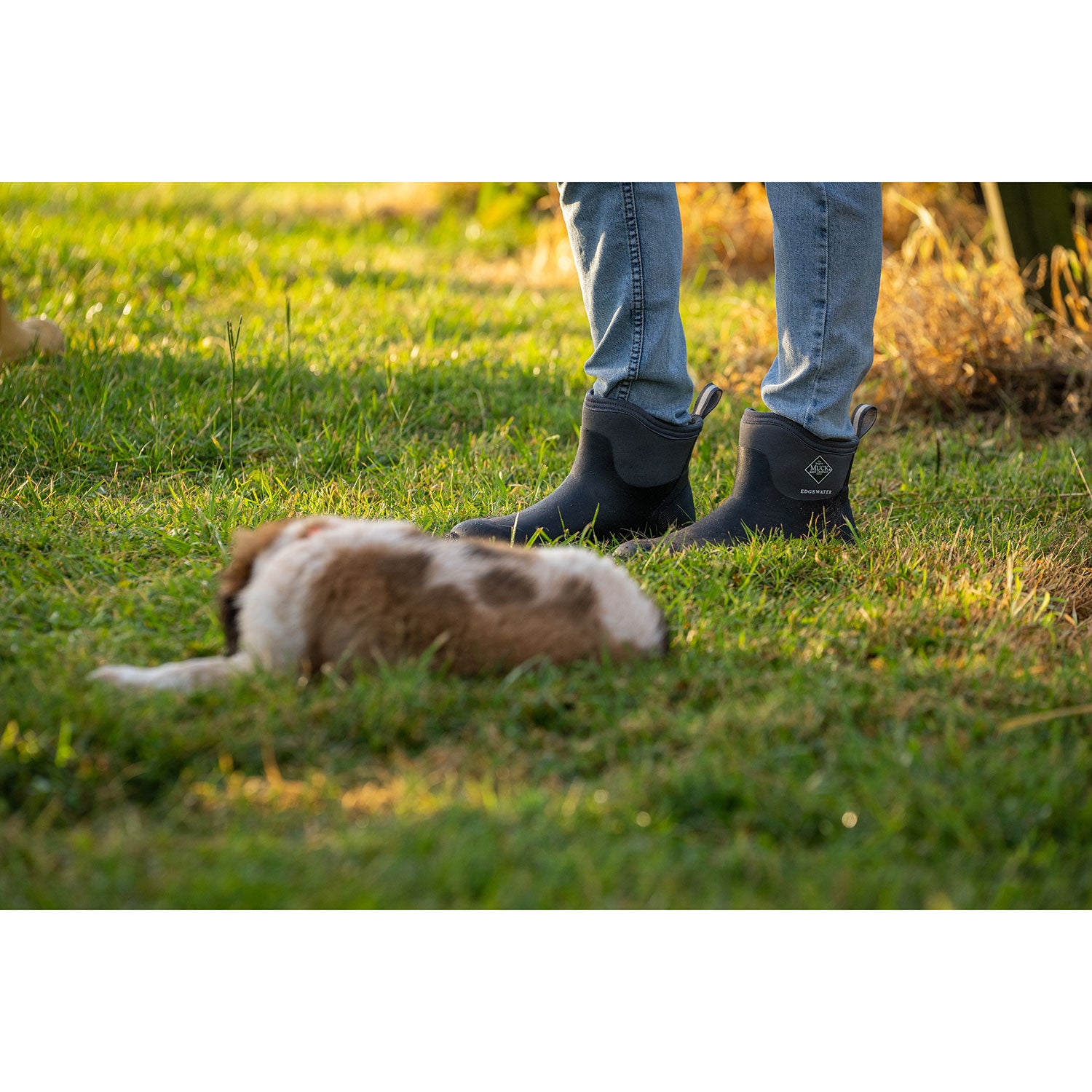 Men's Edgewater Classic 6” Ankle Boots