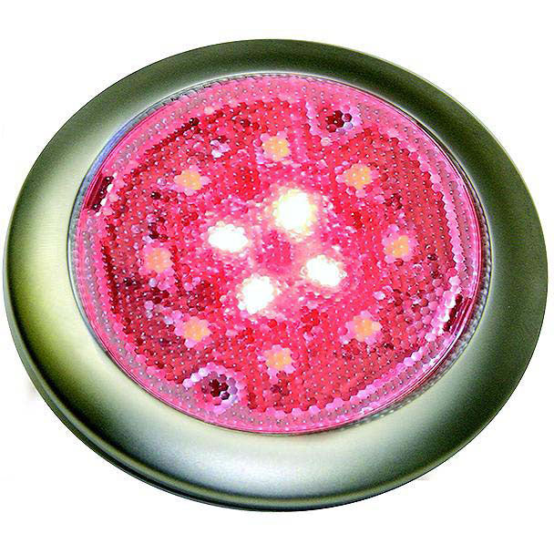 SeaDog 401679 Stainless White & Red LED 12V Surface Mount Low Profile Day & Night Task Light with On / Off Switch | #6 Fastener