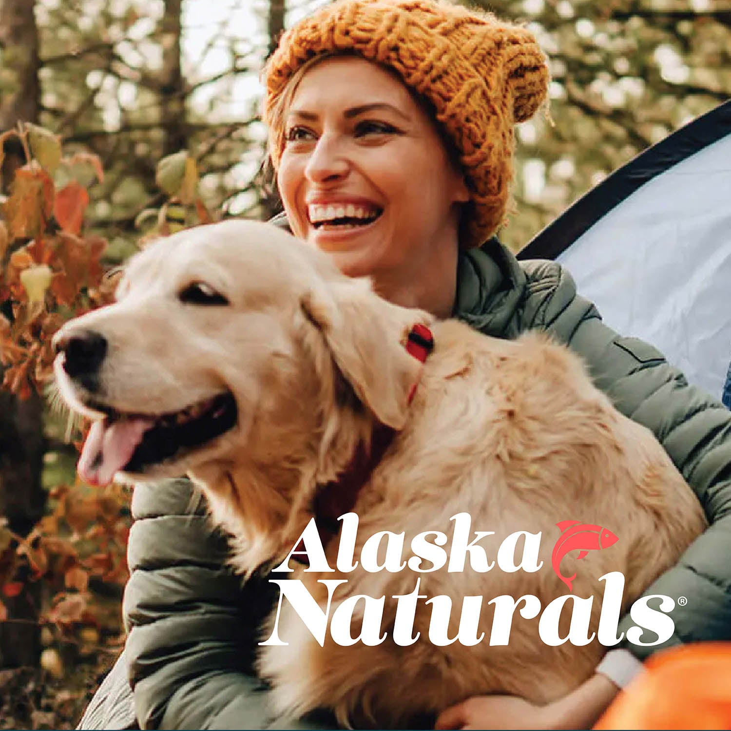 Alaska Naturals Salmon Oil Formula for Dogs