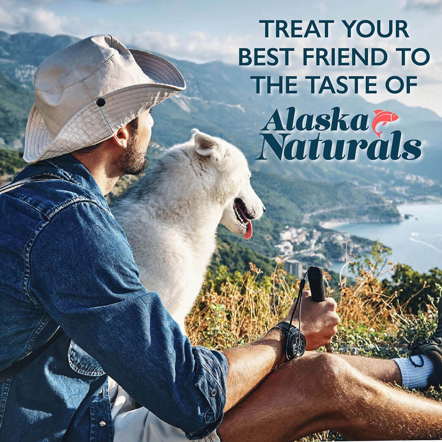 Alaska Naturals Salmon Oil Formula for Dogs