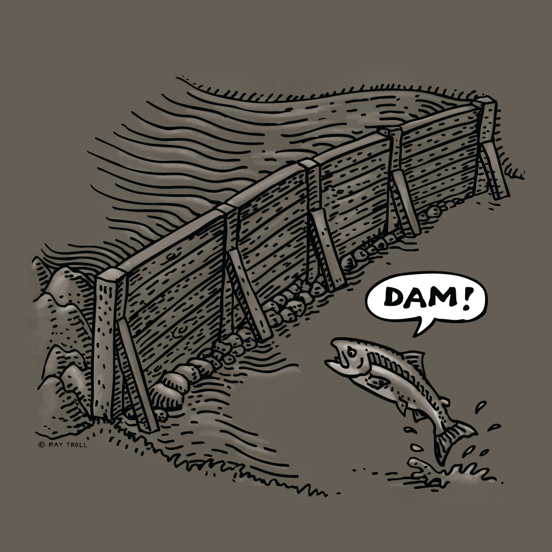 Ray Troll Dam!