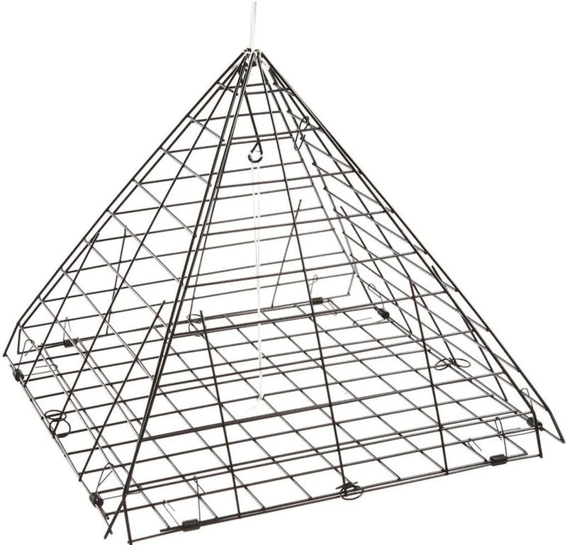 Star Crab Trap