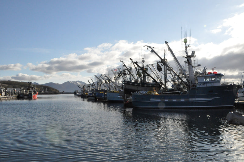 Fishing & Tackle