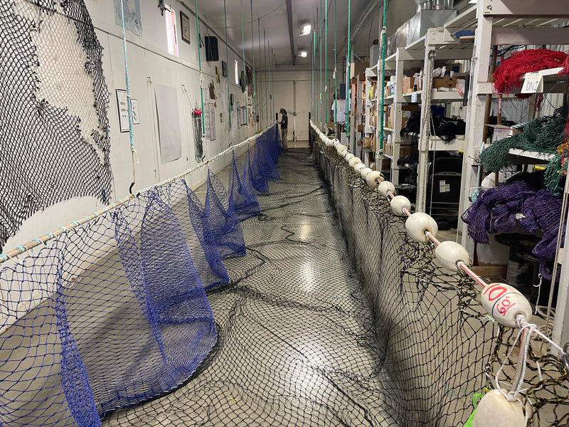Bulletproof Nets