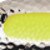 Nickel PlatedFlo. Yellow Insert