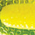 ChartreuseFlo. Yellow Insert