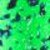 Green Spatter Back