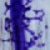 Purple Splatter